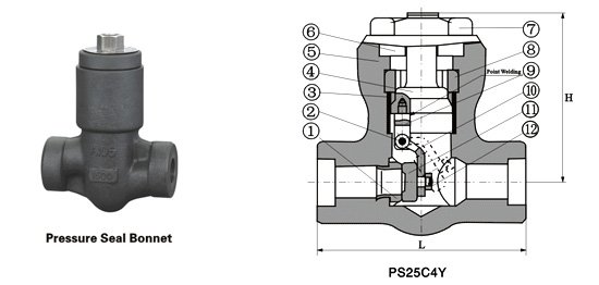 Clase 900 ~ 2500 Presión-Seal Válvula de retención oscilante