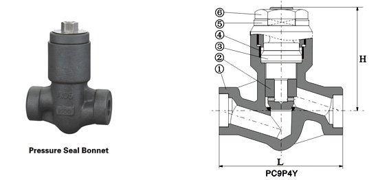 Clase 900 ~ 2500 Presión-Seal Piston válvula de retención