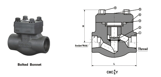 Clase 150 ~ 1500 Tipo de perno de pistón Válvula de retención